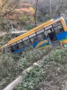 Bus Accident in Chamba: 15 Injured as Vehicle Rolls Down Hillside