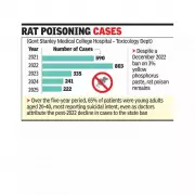 Chennai Doctors Battle Rat Poison Crisis: Hundreds Poisoned Annually
