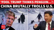 China Mocks Trump's Greenland Ambitions with Penguin Meme, Escalating Digital Diplomacy War