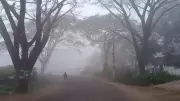 Chintapalle Hits 4.5°C, Andhra's Coldest This Season Amid Dense Fog