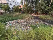 Chitlapakkam Lake Inaugurated After 6-Year Restoration, But Half the Work Remains