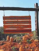 Coimbatore's Wild Tusker Rolex Dies After Translocation, New Wildlife Centre Aims to Prevent Such Tragedies