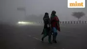 Cold Wave to Ease in North India After Jan 14, Delhi Hits 3°C