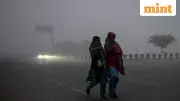 Delhi-NCR Shivers at 4.6°C, Chennai Braces for Heavy Rains: IMD Forecast