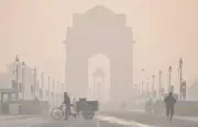 Delhi Weather: Sunny Day with Severe Air Pollution Alert for January 15