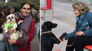 Delhiites Rally at Jantar Mantar, Say 'Awara Nahi, Humara Hai' to Protest Dog Removal Order