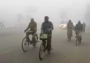 Dense Fog Grips Punjab & Haryana, Visibility Zero; Cold Wave to Intensify