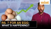 Egg Prices Hit Record ₹7+ in Major Cities, Winter Supply Crunch Bites