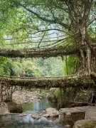 Eight Must-Visit Bridges in India for Travel Enthusiasts