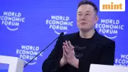 Elon Musk Mocks Trump's Board of Peace at Davos, Reveals Tesla's FSD Expansion Plans