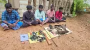 Five Hunters Arrested in Trichy for Killing Protected Peafowl