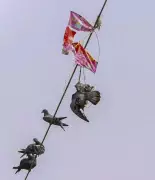 Four Injured in Hyderabad Chinese Manja Attacks, Constable Among Victims