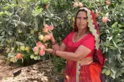 From Mockery to Rashtrapati Bhavan: Rajasthan Farmer's Apple Dream Bears Fruit
