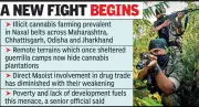Gadchiroli's New Battle: From Maoist Stronghold to Cannabis Hub