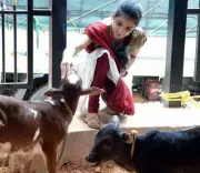 Gadvasu and NIT Rourkela Develop AI Tech to Predict Animal Illness Early