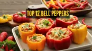 Global Culinary Agency Reveals Top 12 Bell Peppers Worldwide: From Greece to Spain