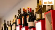 Global Wine Sales Continue Decline in 2025, But Recovery Signs Emerge