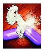 Goa Drug Seizures Skyrocket 700% in 2025, Police Target Kingpins