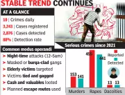 Goa Police Records 10 Daily Crimes in 2025, Maintains 88% Detection Rate