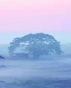 Goa Records Cooler Nights, IMD Predicts Temperature Rise Soon