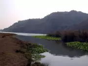 Haryana Forms High-Level Panel on Water Act After Court Pull-Ups