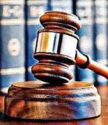 HC Stops Tree Felling in Kodaikanal, 1,200+ Trees Illegally Cut