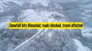 Himachal Pradesh Paralyzed by Severe Snowfall and Rain, 563 Roads Blocked