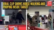 Horse Rides Inside Texas Target Store, Sparks Viral Debate Online