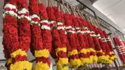 Hosur's Red Taj Mahal Roses Fly to Malaysia, Fueling a Blooming Export Trade