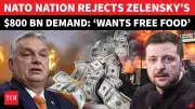 Hungary Blocks Ukraine's EU Bid, Slams $800 Billion Aid Demand