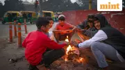 IMD Forecast: Cold Wave Grips North India, Rain & Snowfall Alert for Several States
