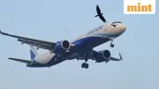 IndiGo Leads Airbus Deliveries Again in 2025 Despite Operational Challenges