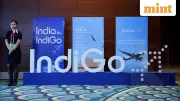 IndiGo Q3 FY26 Results: Profit Plummets 77.5% YoY Despite Sequential Recovery