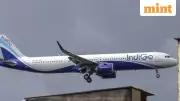 IndiGo Surrenders 700+ Airport Slots After DGCA Mandated Winter Schedule Cut