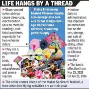 Indore Police Crack Down on Banned Chinese Manjha, Seize Stock Ahead of Makar Sankranti