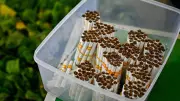 ITC, Godfrey Phillips Shares Plunge 6% as Govt Hikes Cigarette Excise Duty