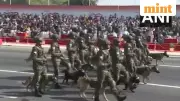 Jaipur's First Public Army Day Parade Showcases Military Might and New Bhairav Battalion