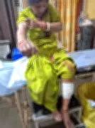 Jalandhar Urban Estate Grapples with Stray Dog Menace: Over 40 Cases Reported Since New Year