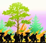 Karnataka Forests Face 1,800 Fire Incidents Amid Cold Wave, Minister Reviews Summer Preparedness