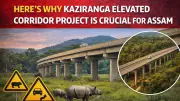 Kaziranga Elevated Corridor: Why Assam's Rs 6,950 Crore Project Matters