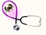 Kerala CM Pinarayi Vijayan Urges Open Fight Against Breast Cancer, 1 in 9 Women at Risk