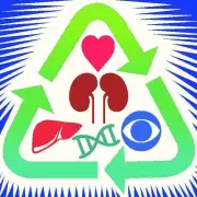 Kochi Police Probe Rs 90,000 Organ Transplant Fraud Case