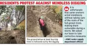 Kolkata Residents Halt KMC Digging to Save Trees from Damage in New Alipore