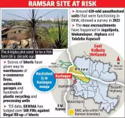 Kolkata Wetlands Crisis: Illegal Warehouses Replace Fish Farms, Fire Exposes Rampant Encroachment