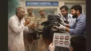 Kota Police Solve Buffalo Ownership Dispute with Veterinary Dental Exam