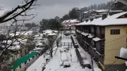 Kufri Snowfall Sparks Tourist Rush, Shimla Faces Infrastructure Strain