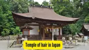 Kyoto's Mikami Shrine: Japan's Unique Temple for Hair Growth & Beauty
