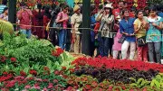 Lalbagh Flower Show Opens with Over Rs 21 Lakh Ticket Sales on Day One