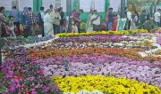 Lalbagh's Republic Day Flower Show Breaks Records with Rs 2.7 Crore Revenue