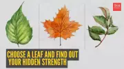Leaf Personality Test: What Your Leaf Choice Reveals About Your Core Strength